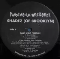 SHADEZ OF BROOKLYN商品一覧｜ディスクユニオン・オンラインショップ