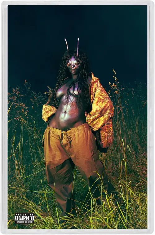 SOS…!!! SZAのあの大ヒット作のデラックス版が入荷してしまった