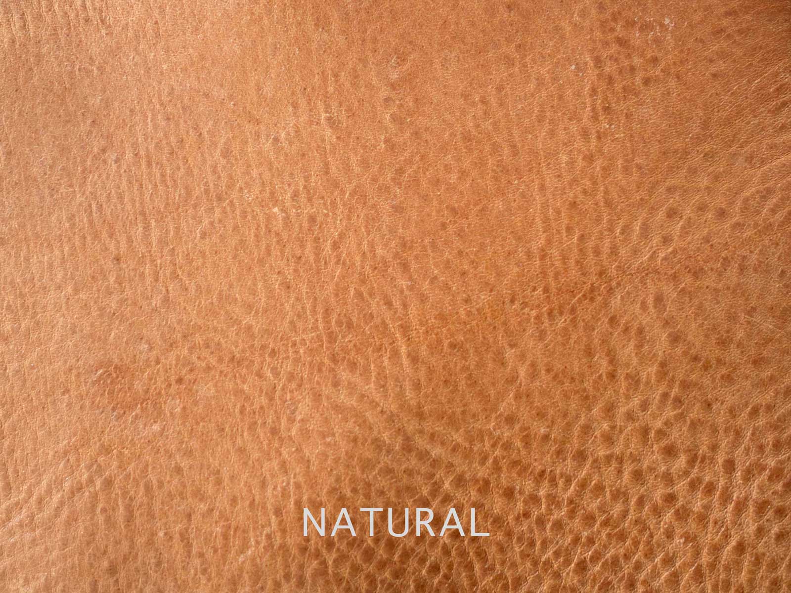 底板（デイパックS用） |analogico（アナロジコ）