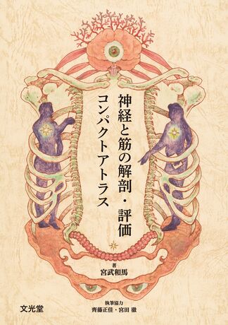 神経と筋の解剖・評価コンパクトアトラス | 株式会社文光堂