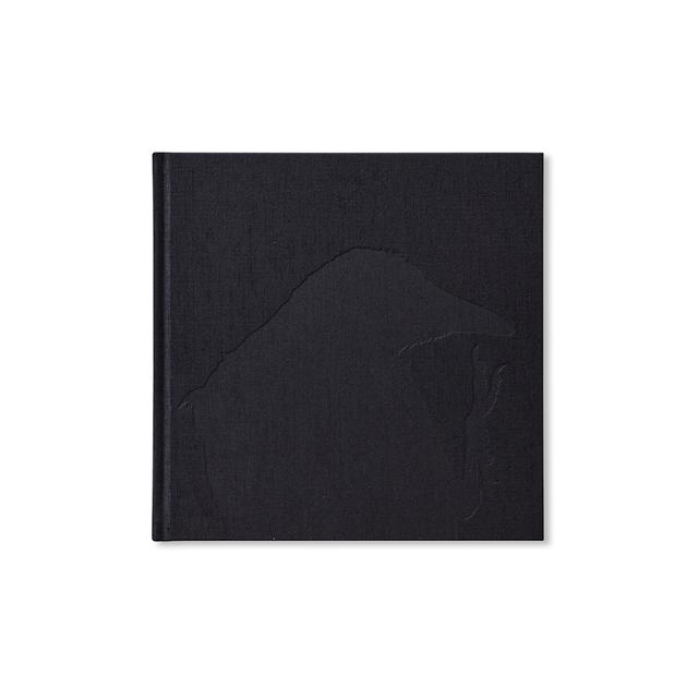 深瀬昌久写真集 「鴉/RAVENS（レイブンズ）」 . 深瀬昌久 -の商品詳細