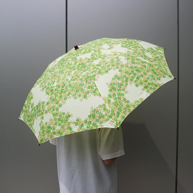 イイダ傘店】 折り畳み晴雨兼用 こもれび 新緑 -の商品詳細 | 蔦屋書店