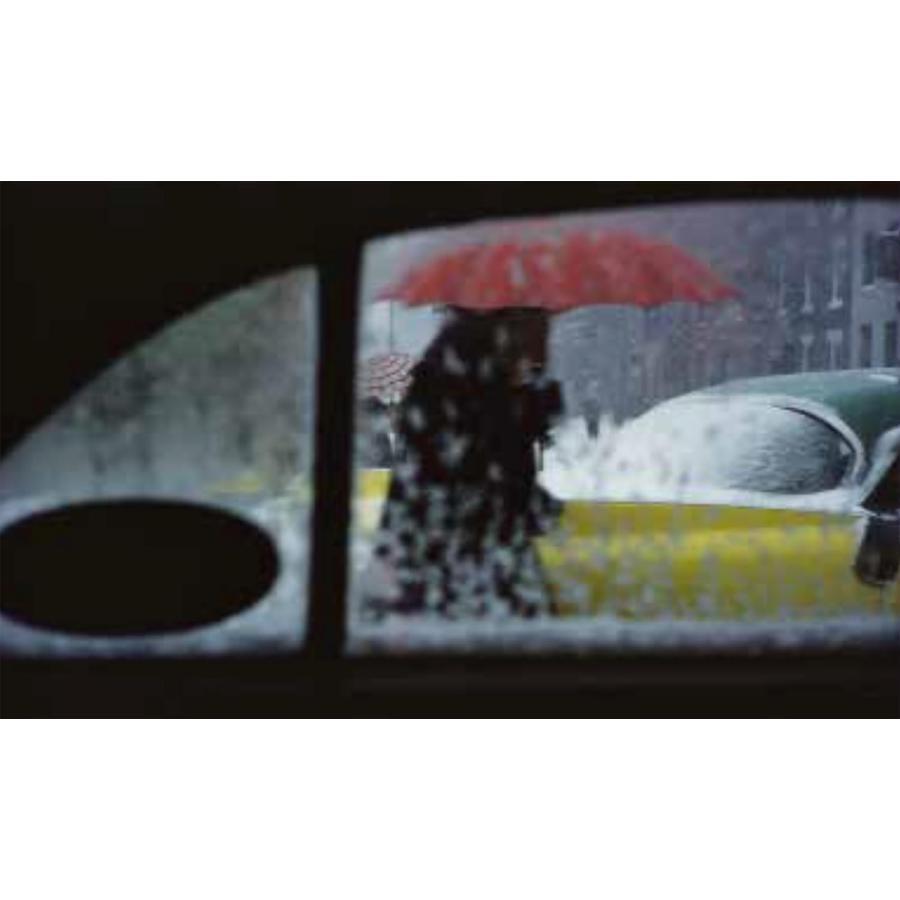 ソール・ライター Saul Leiter The Centennial Retrospective -の商品