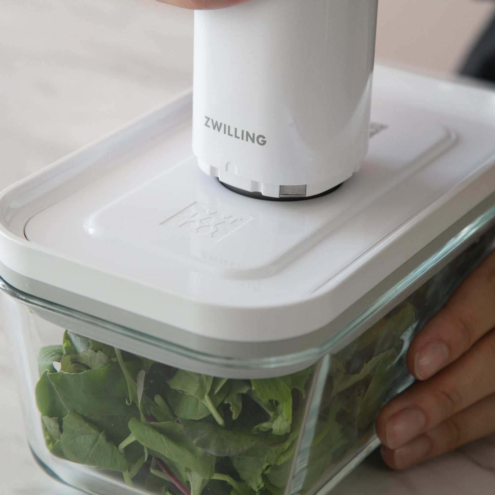 85A9149_1600x.jpg?v=1682067437