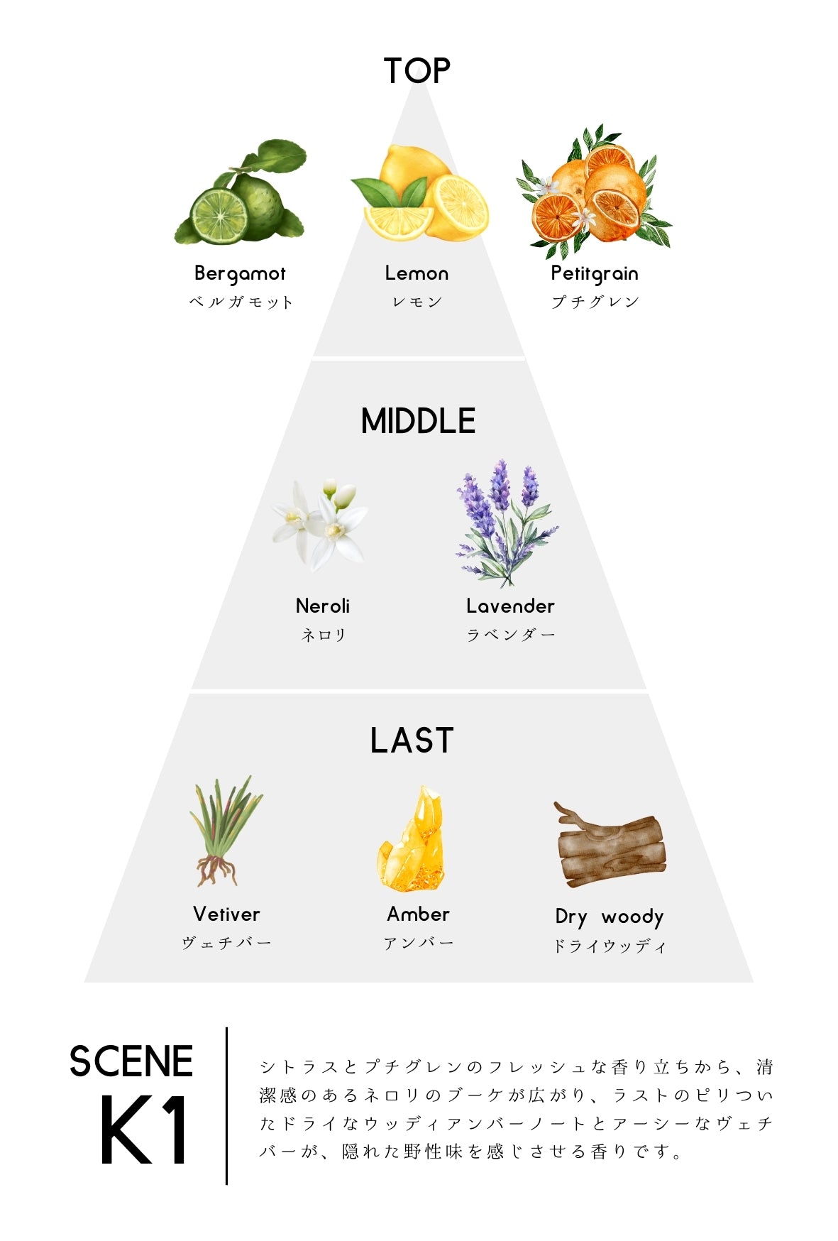 scene K1 EDP – zzzgoo公式オンラインストア