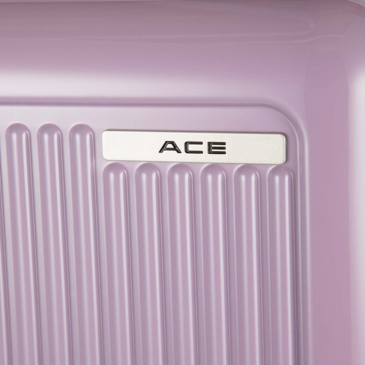 WEB限定】ACE ファームロード 89/106L スーツケース エキスパンド機能