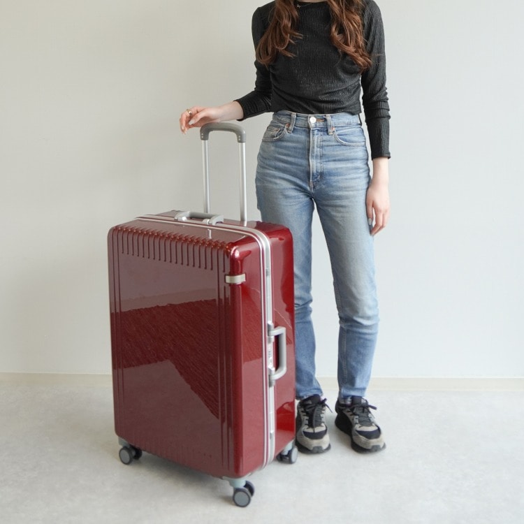 ace.／エース パリセイド3-F 05054 スーツケース フレーム 89L