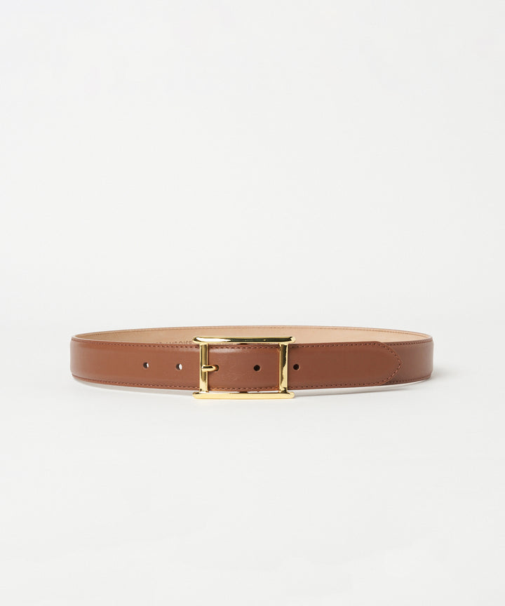 AB241DTCA01034447-LION-