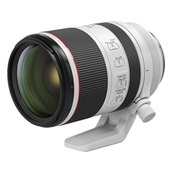 販売終了】EF8-15mm F4L フィッシュアイ USM:交換レンズ 通販