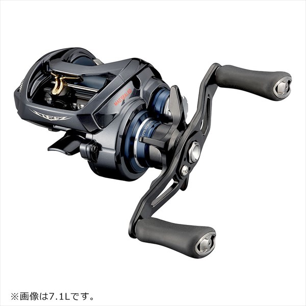 ダイワ スティーズ A TW HLC 6.3L(左巻キ)【即日発送】(6.3L): リール