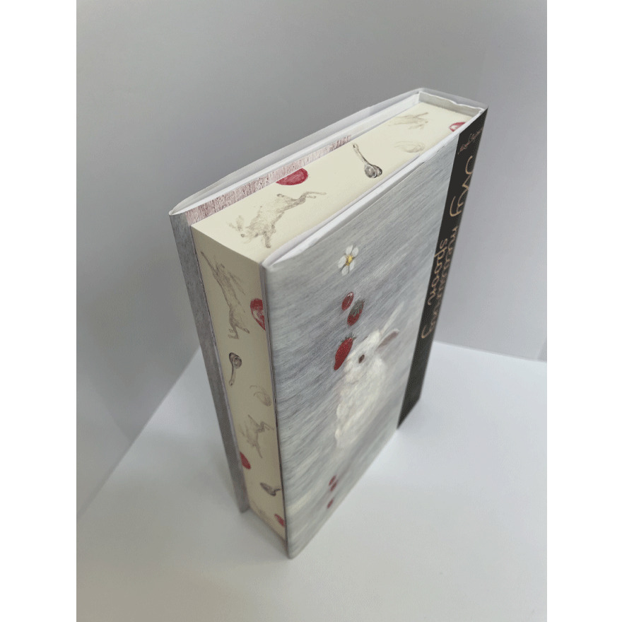 辻村深月】ぼくのメジャースプーン 限定愛蔵版 サイン本 | Mephisto