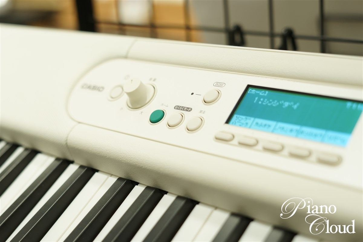 CASIO LK-530 | Piano Cloud Online Store