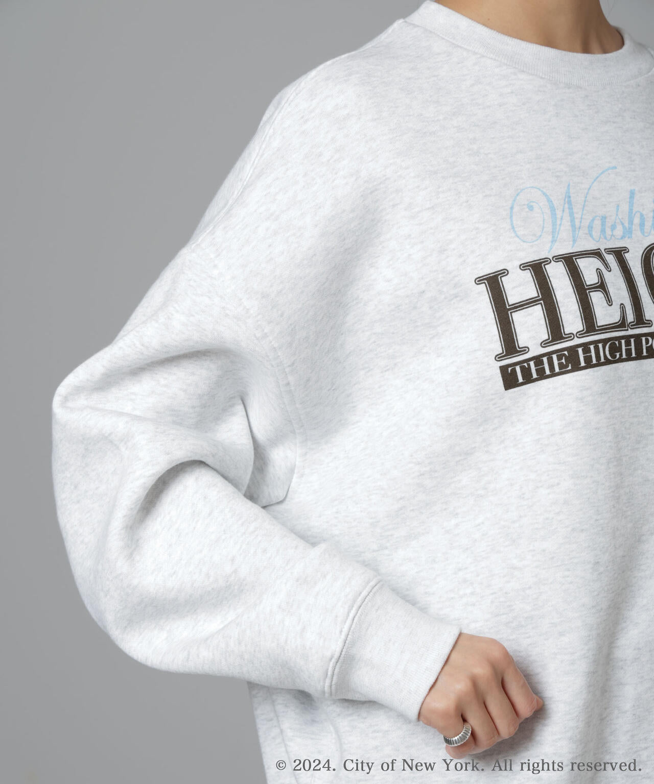 GOOD ROCK SPEED / NYC プリント 裏毛 プルオーバー