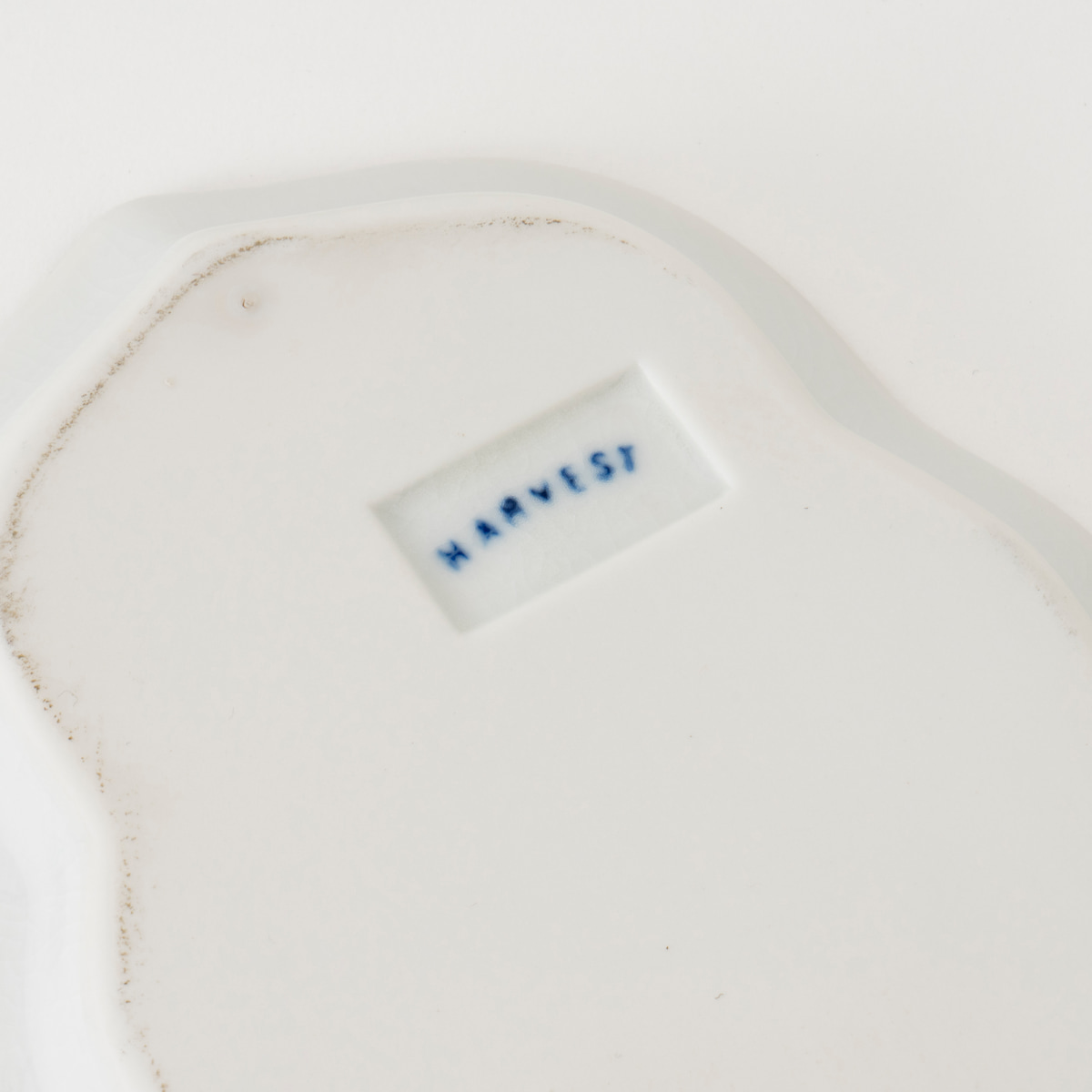 九谷焼】THE HARVEST クラウドナイン nyu-do 平皿 | HESTA LIFE store