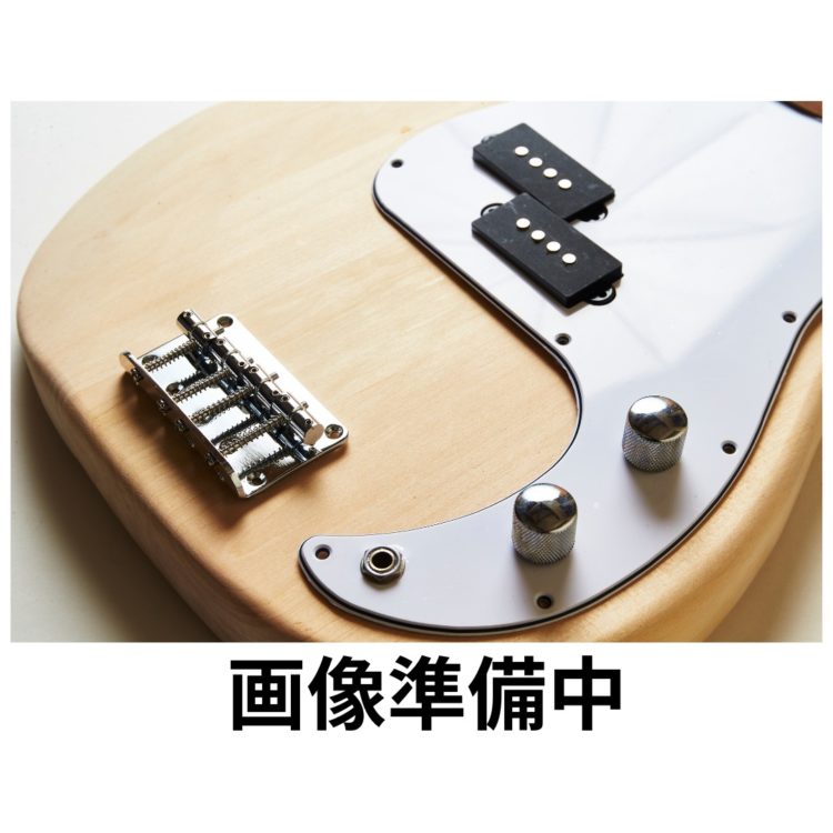 売切中】リバースヘッドプレシジョンベース タイプ DIYキット