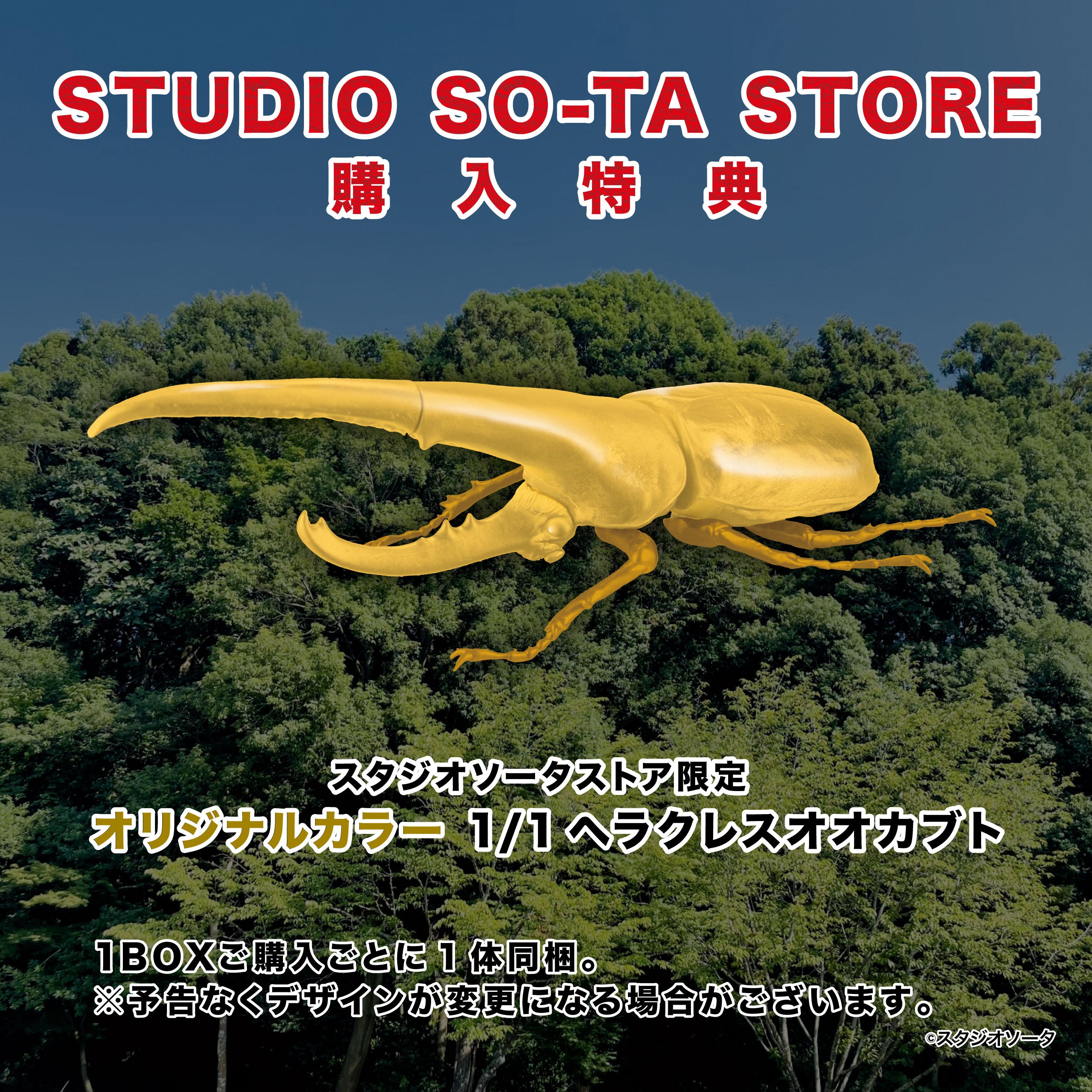 予約受付終了】1/1ヘラクレスオオカブト【1BOX／4個入】《予約：2026年5