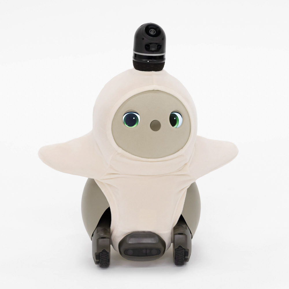 ベロアカットソー（ライトピンク） | LOVOT ウェブストア