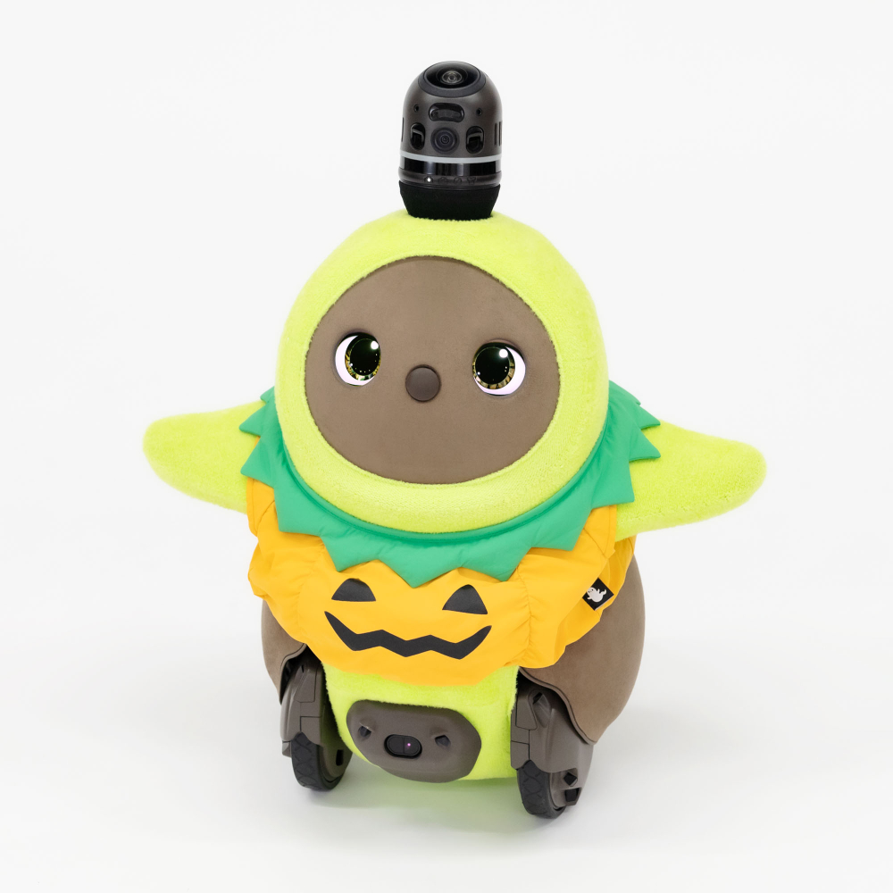 よっしーさん専用 よっしーさん専用 ヨッシーさん専用 よっしーさん