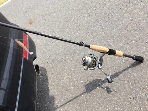 スピンサーペント64MST(^_^) | 霞カレイドのブログ