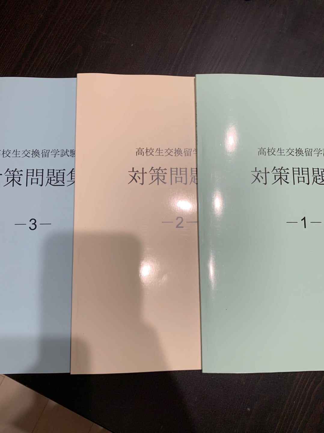 高校交換留学 ELTiS 最終試験で合格！ | 5th,