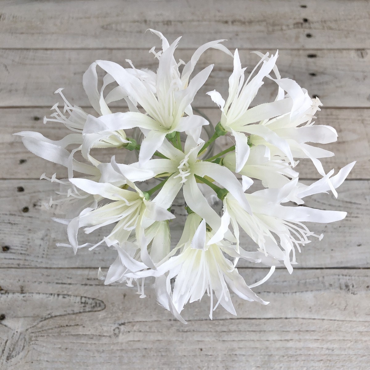 造花】アスカ/ネリネリリィ ホワイト/A-32379-1 - 花材通販はなどんや