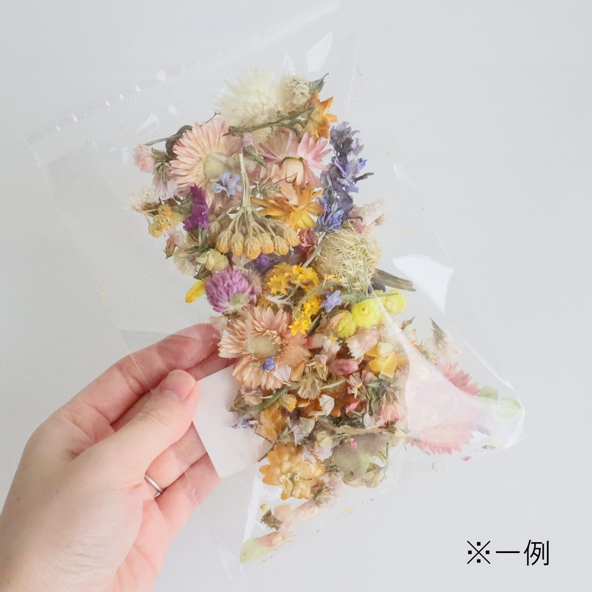 即日☆【ドライ】コアトレーディング/ロストフラワー・ミックス