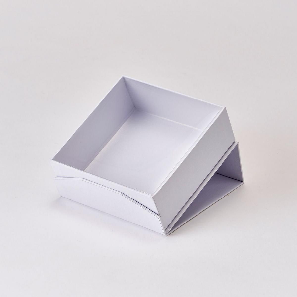 6box】30×20×15 白底 レプタイルボックス同等 マグネット アクリル