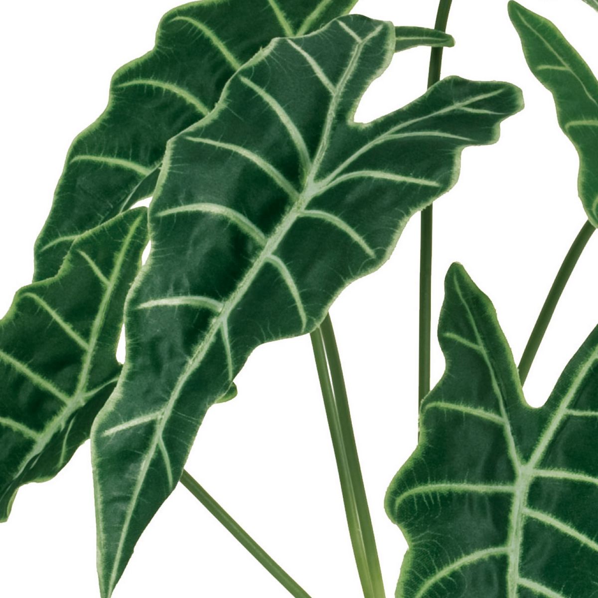 造花】MAGIQ東京堂/アロカシアブッシュ GREEN/FG001155 - 花材通販は