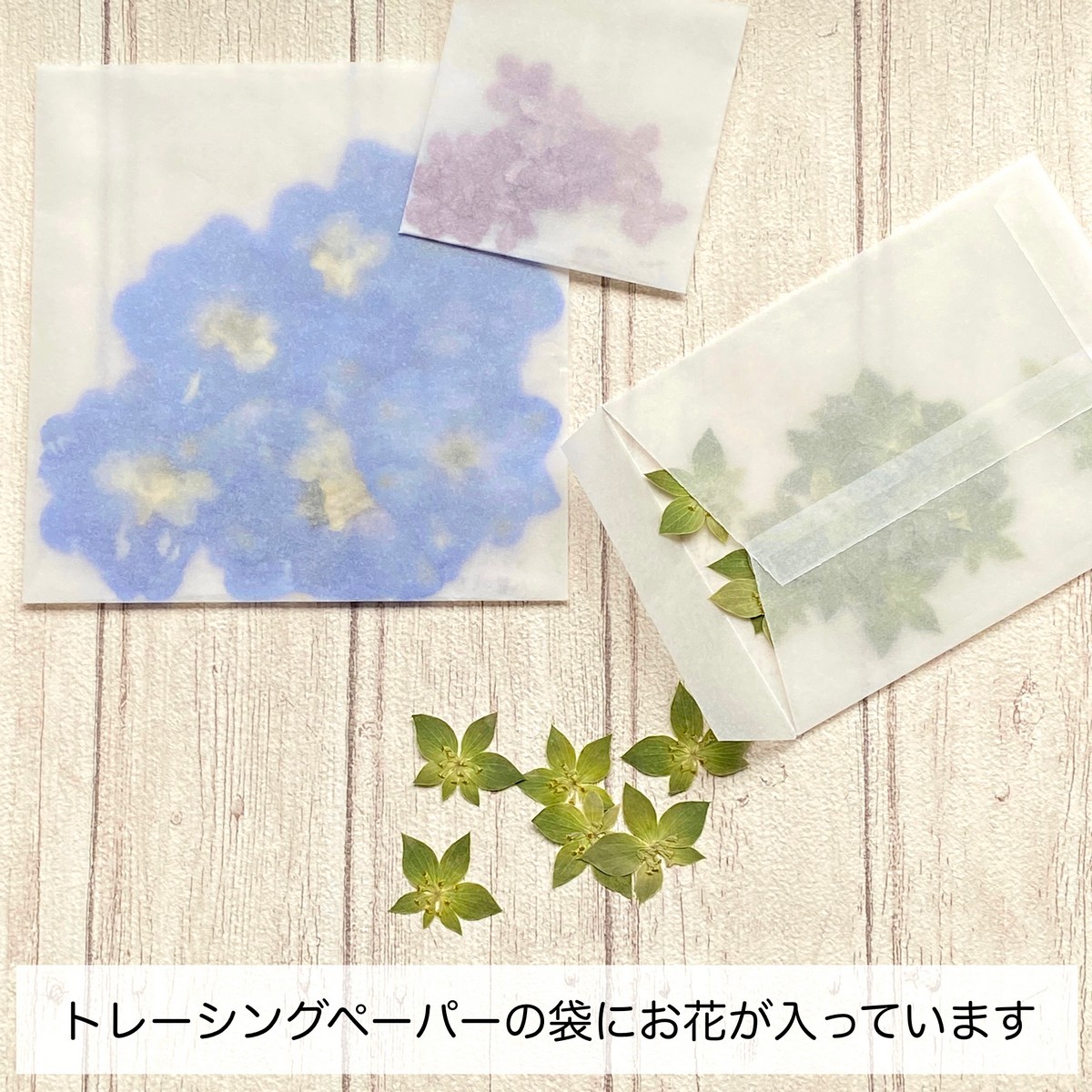 ドライ】m flowers/押し花 ハイブリッドスターチス サフォラ - 花材