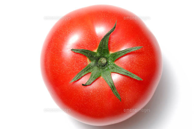 トマト[10145000418]の写真・イラスト素材｜アマナイメージズ