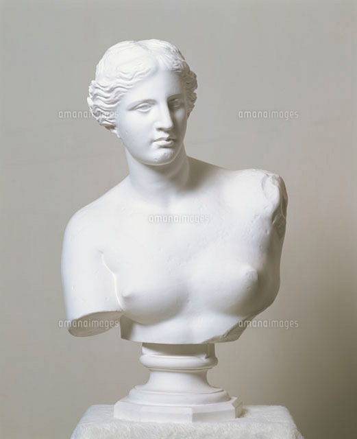 ミロのヴィーナスの石膏像[10173002994]の写真・イラスト素材｜アマナ