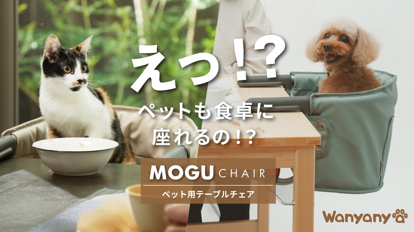 こんな商品待ってた！一緒に食卓を囲めるペットチェアで新しいライフ