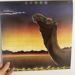 Camel キャメル Breathless レコード LP - メルカリ