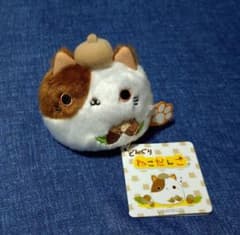 m46949590351_1.jpg?1753155540