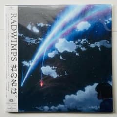 貴重 2LP レコード Radwimps 君の名は。 ラッドウィンプス 新海誠