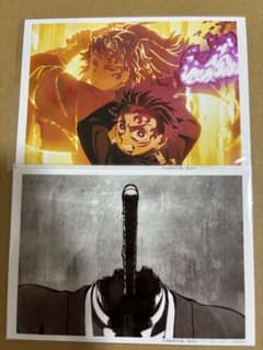 m48617874909_1.jpg?1753610477