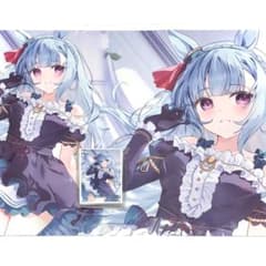 ウマ娘 ヴィブロス 水着 カードスリーブ プレイマット セット【shir