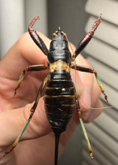 m49191314800_1.jpg?1761481585