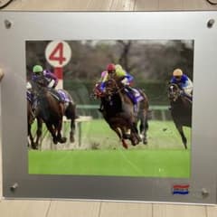 競馬 ディープインパクト 51回 有馬記念 武豊 写真立て 日刊スポーツ