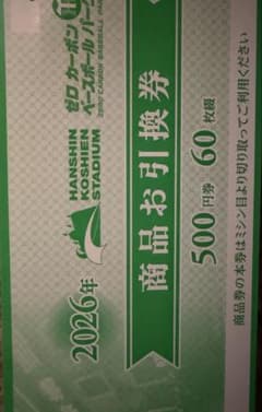 阪神甲子園球場 商品お引換券 60枚セット - メルカリ