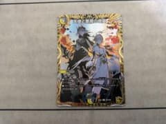 m41620171865_1.jpg?1737135008