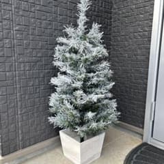 m54989693850_1.jpg?1731565817