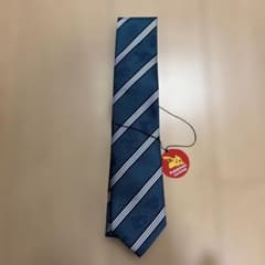 ポケモン ネクタイ 緑 リザードン 新品タグ付き - メルカリ