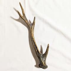 美品】鹿の角 4股 - メルカリ