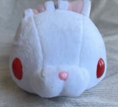 チャックスGP 汎用うさぎ ペンケース ペンポーチ 筆箱 ホワイト 白