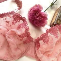 ♤今日のスペシャル♤高級フランス パッショナータ⭐︎チェリーピンク