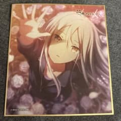 プロセカ 宵崎奏 色紙 フェス限 - メルカリ