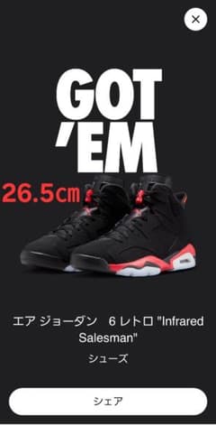 エア ジョーダン 6 レトロ 