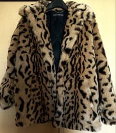 m51629098129_1.jpg?1744976098