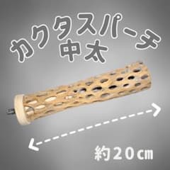 鳥用品 止まり木 カクタス スケルトン パーチ 中細No.122 - メルカリ